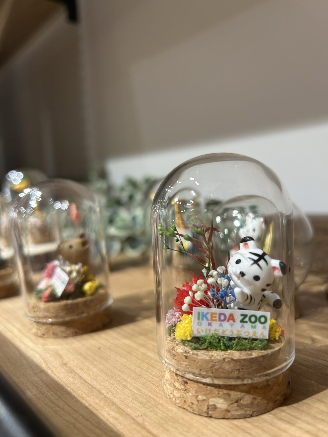 ★ 岡山のハンドメイド作家さん × 池田動物園 ★ グッズ販売中♪