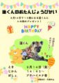 ブチハイエナ「蓮」のお誕生日会