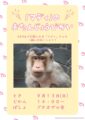 ブタオザル「マディ」のお誕生日会