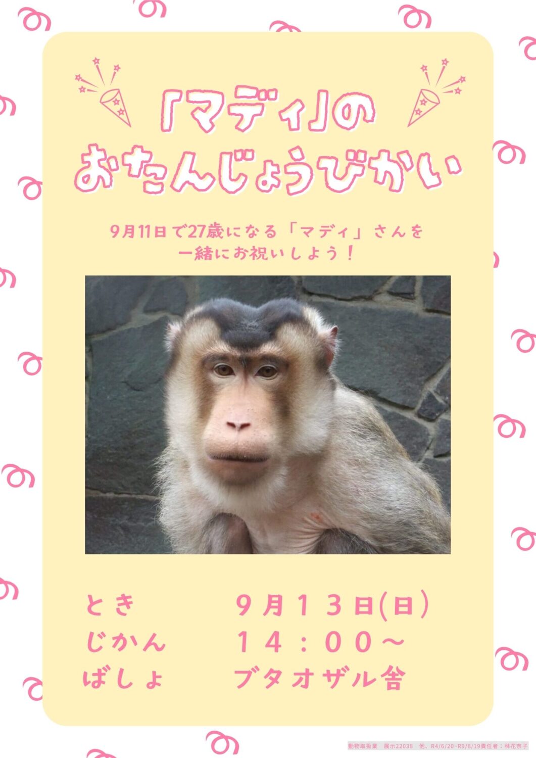 ブタオザル「マディ」のお誕生日会
