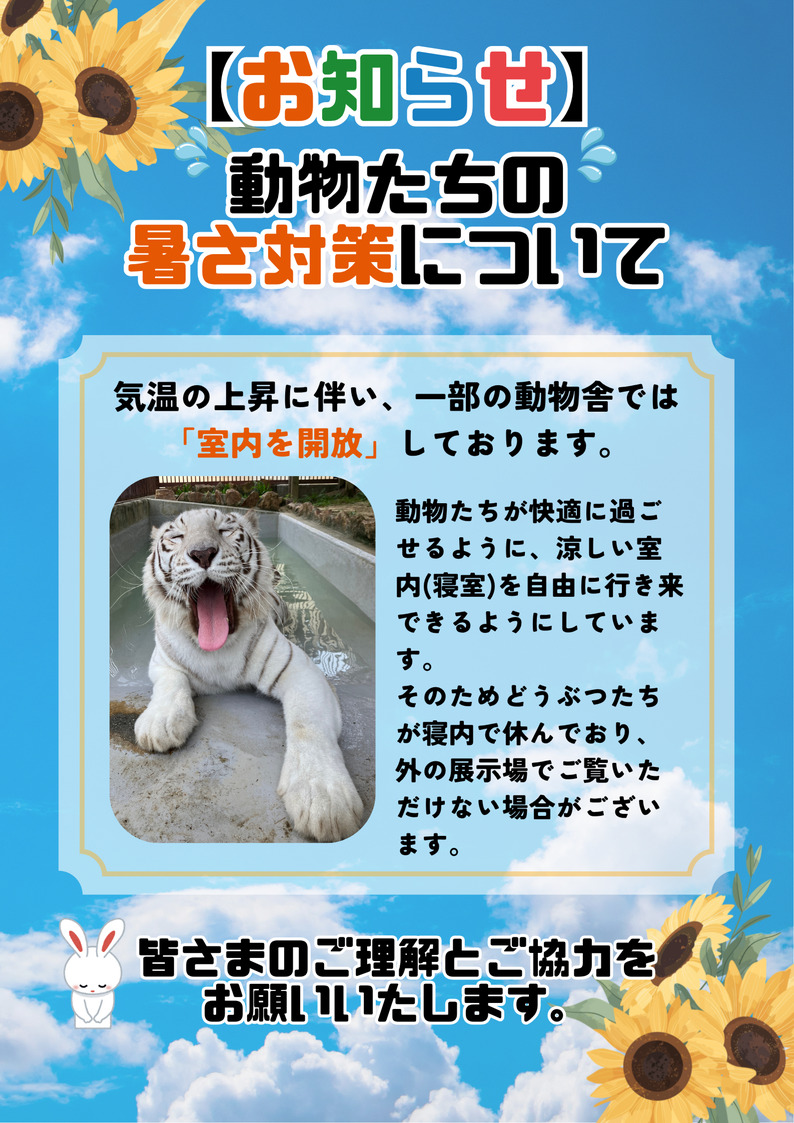動物たちの暑さ対策について