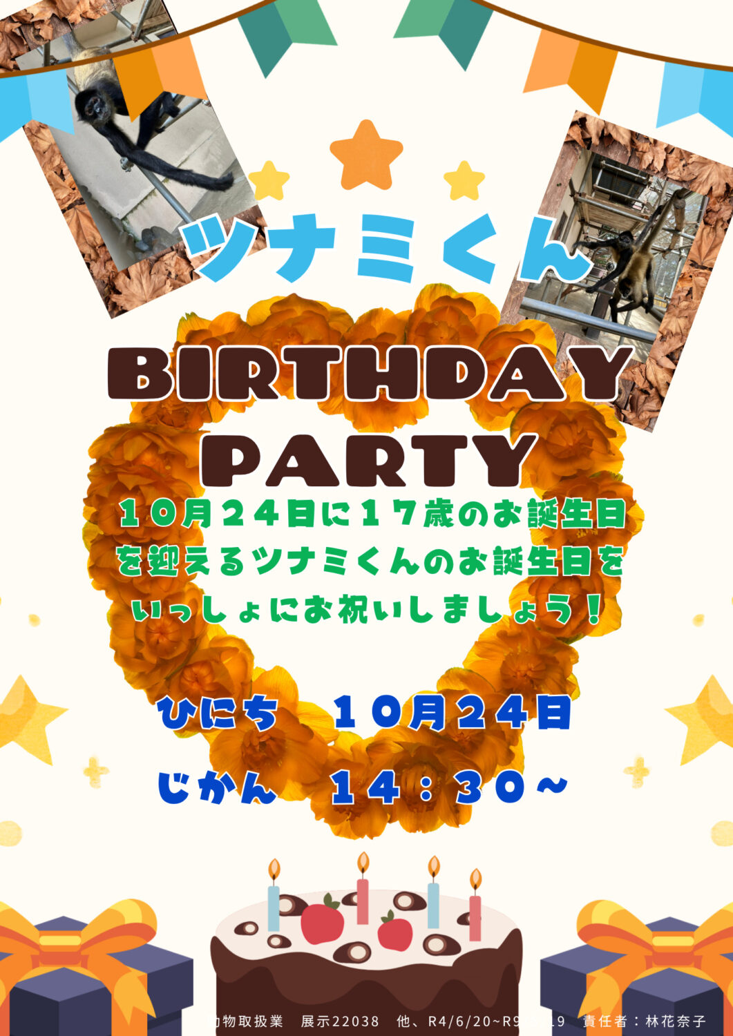 ジェフロイクモザル「ツナミ」お誕生日会