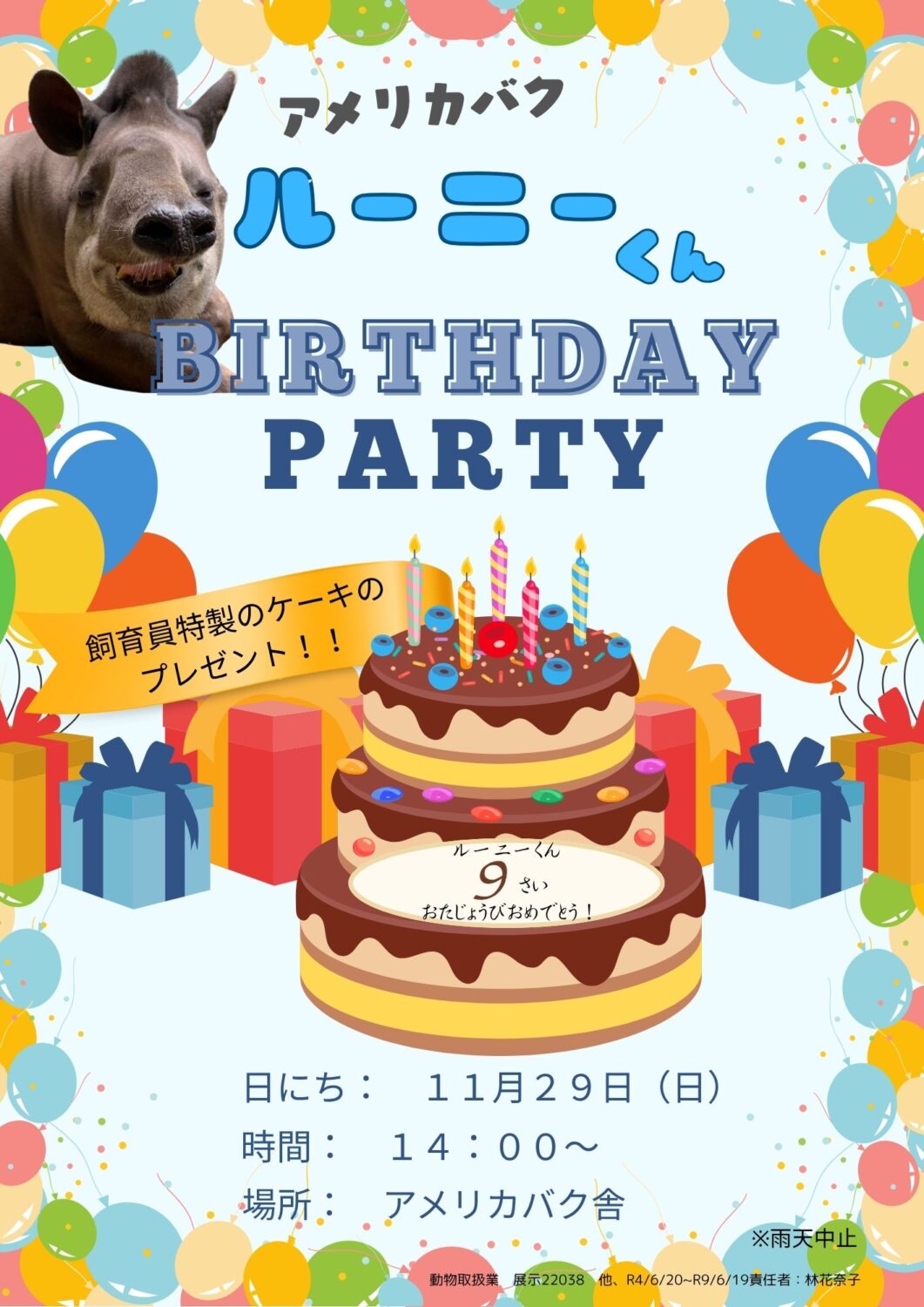 アメリカバク「ルーニー」お誕生日会